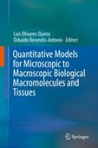 Quantitative Models for Microscopic to Macroscopic Biological Macromolecules and Tissues