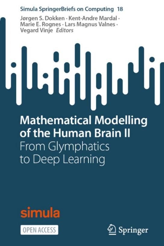 Mathematical Modelling of the Human Brain II